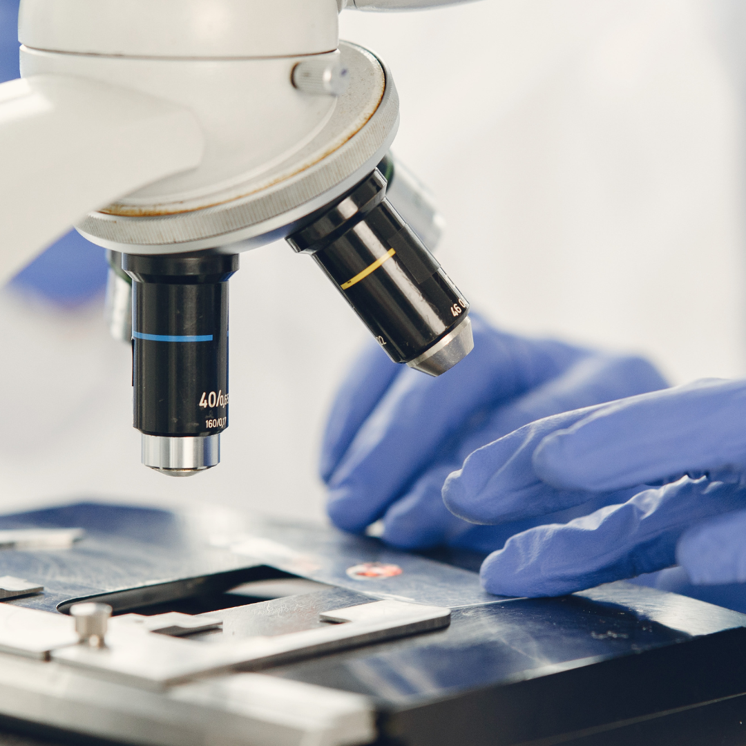 Global Drugmakers Commit Hundreds of Billions to Expand U.S. Manufacturing